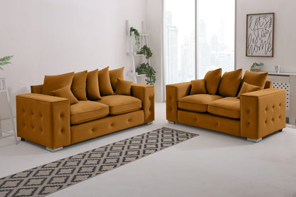 Howard 3+2 Scatter back