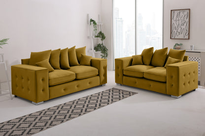 Howard 3+2 Scatter back