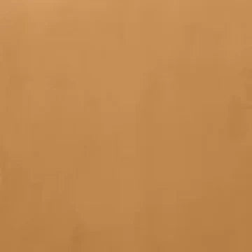 Burnt Orange  Plush Velvet